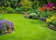 Wie man so schöne Rasenflächen gestaltet, erfährst du hier auf diesen Gartenseiten.  © Krawczyk-Foto - Fotolia.com