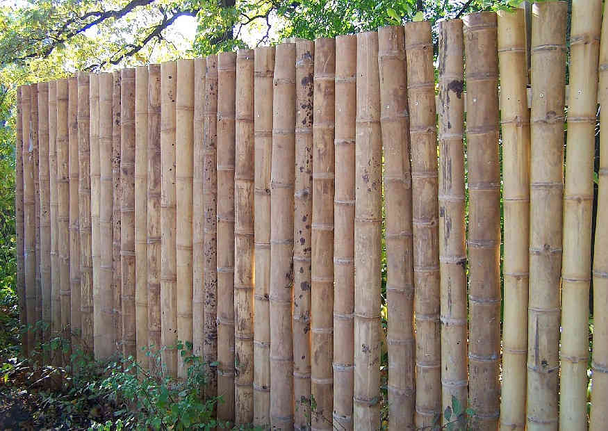 zurückhaltender Bambus-Sichtschutz