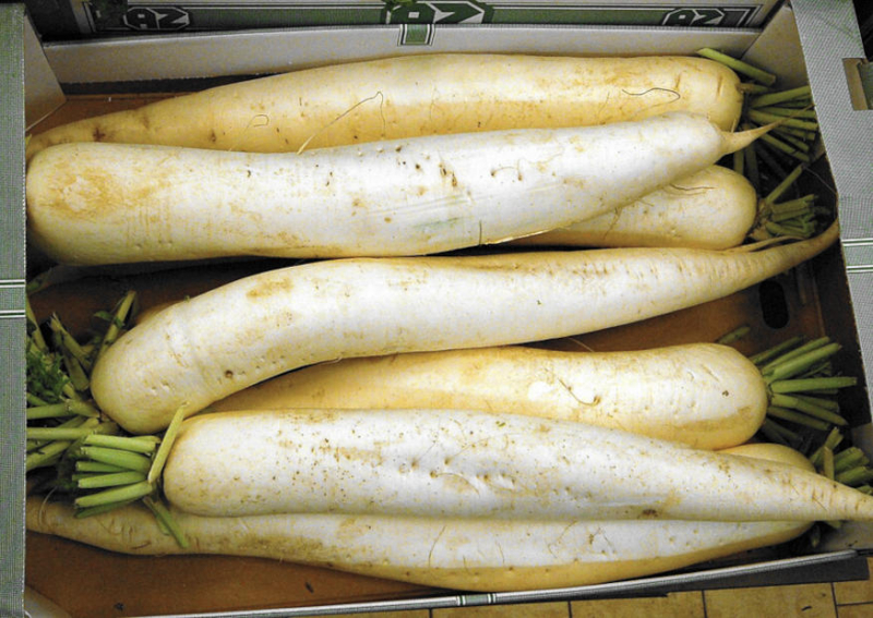 Herbstrettiche im Handel