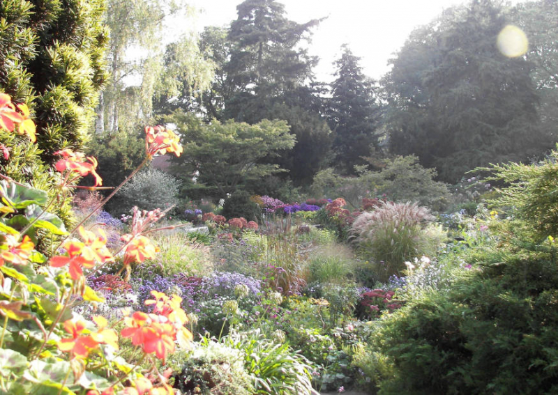 abgesenkter Staudengarten