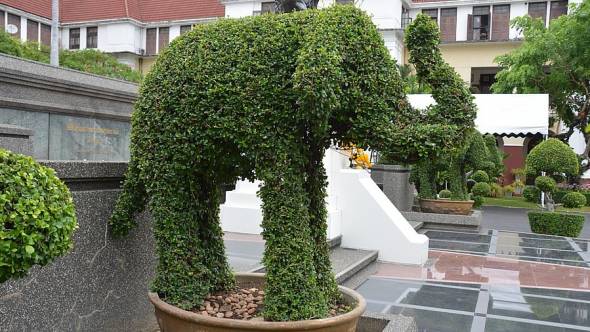 terimakasih0 topiary Buchsbaumfiguren
