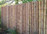 zurückhaltender Bambus-Sichtschutz