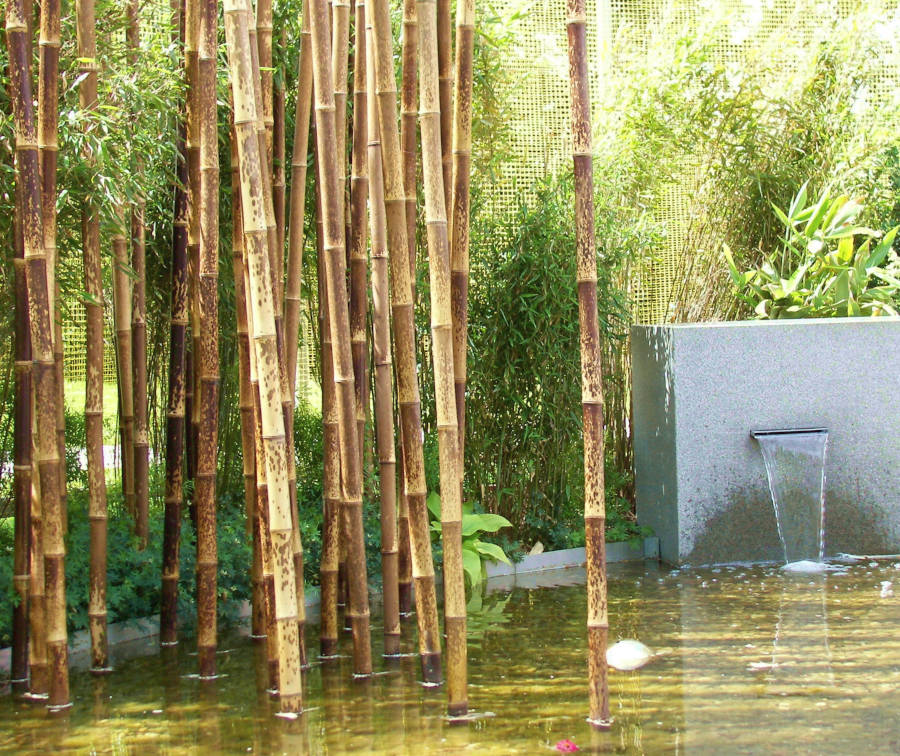 Bambusstangen im Teich