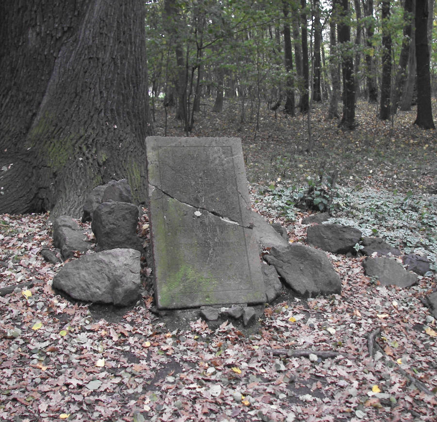 Grabplatte im Wald
