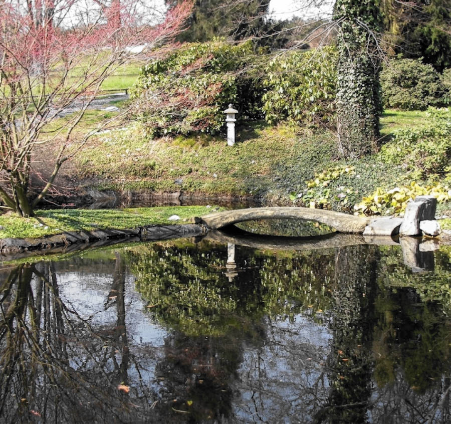 Teich und japanische Steinlaterne