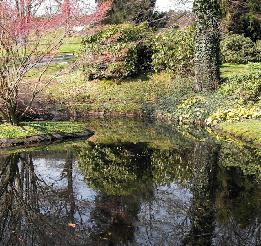 Teich im Park