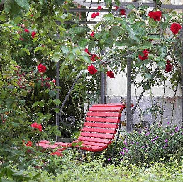 Sitzplatz unter roten Rosen